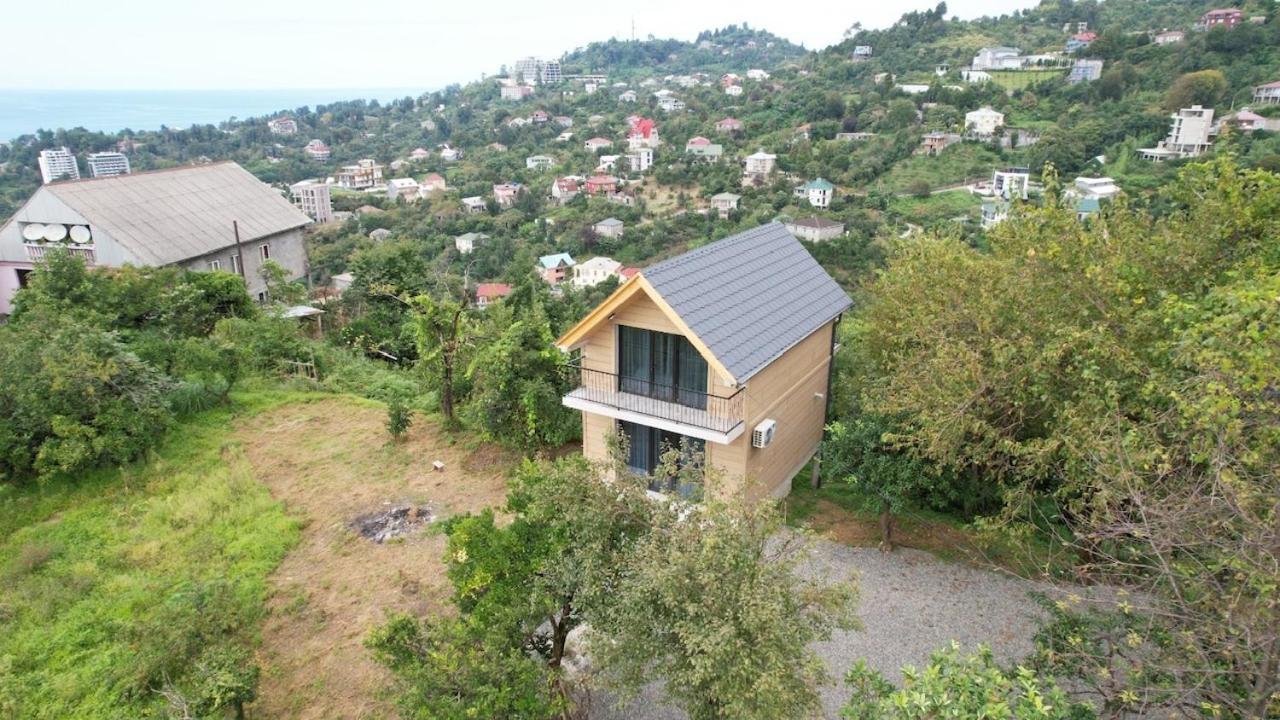 B-xon Makhinjauri *